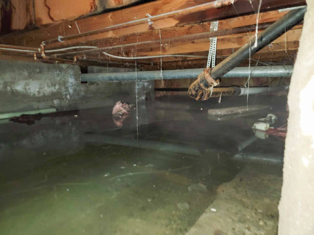 Best Water damage restoration near me  in Monterey, CA