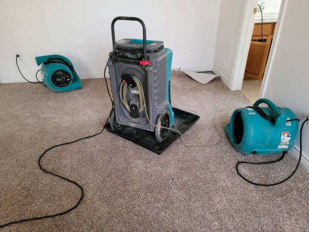 Best Basement water damage restoration  in Monterey, CA