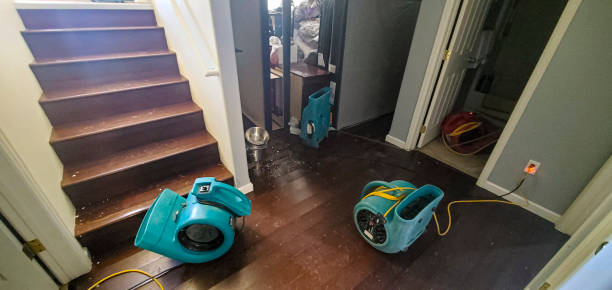 Best Water damage repair service  in Monterey, CA
