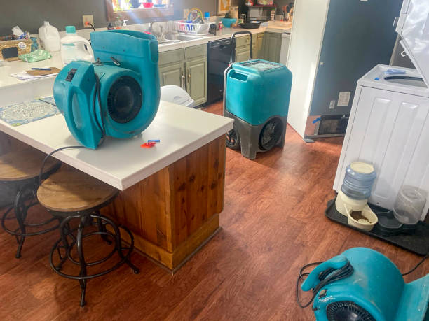 Best 24-hour water damage restoration  in Monterey, CA