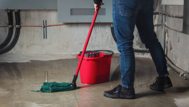 Best Water damage restoration specialists  in Monterey, CA
