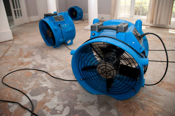 Best Carpet water damage restoration  in Monterey, CA